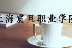 上海震旦职业学院近三年在河北录取分数线(含2022-2024最低分)
