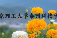 南京理工大学泰州科技学院近三年在河北录取分数线(含2022-2024最低分)