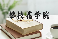 攀枝花学院近三年在河北录取分数线(含2022-2024最低分)