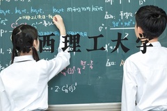 陕西理工大学近三年在河北录取分数线(含2022-2024最低分)