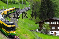 大连医科大学近三年在河北录取分数线(含2022-2024最低分)