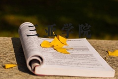 三亚学院近三年在河北录取分数线(含2022-2024最低分)