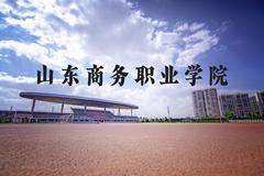 山东商务职业学院近三年在河北录取分数线(含2022-2024最低分)