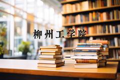 柳州工学院近三年在河北录取分数线(含2022-2024最低分)