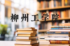 柳州工学院近三年在河北录取分数线(含2022-2024最低分)