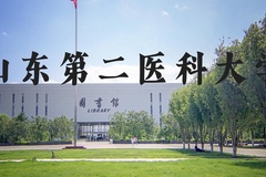 山东第二医科大学近三年在河北录取分数线(含2022-2024最低分)
