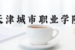 天津城市职业学院近三年在河北录取分数线(含2022-2024最低分)