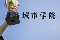 青岛城市学院近三年在河北录取分数线(含2022-2024最低分)