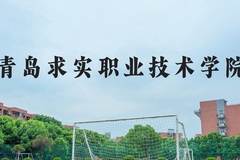 青岛求实职业技术学院近三年在河北录取分数线(含2022-2024最低分)