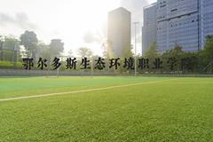 鄂尔多斯生态环境职业学院近三年在河北录取分数线(含2022-2024最低分)