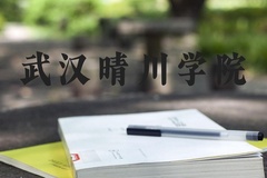 武汉晴川学院近三年在河北录取分数线(含2022-2024最低分)