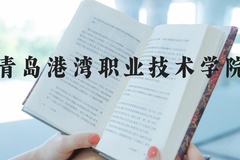 青岛港湾职业技术学院近三年在河北录取分数线(含2022-2024最低分)