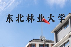 东北林业大学近三年在河北录取分数线(含2022-2024最低分)