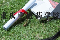 重庆中医药学院近三年在河北录取分数线(含2022-2024最低分)