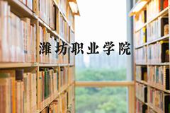 潍坊职业学院近三年在河北录取分数线(含2022-2024最低分)