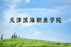 天津滨海职业学院近三年在河北录取分数线(含2022-2024最低分)