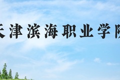 天津滨海职业学院近三年在河北录取分数线(含2022-2024最低分)