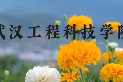 武汉工程科技学院近三年在河北录取分数线(含2022-2024最低分)
