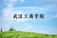 武汉工商学院近三年在河北录取分数线(含2022-2024最低分)