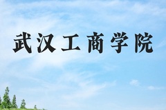 武汉工商学院近三年在河北录取分数线(含2022-2024最低分)