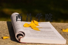 西昌学院近三年在河北录取分数线(含2022-2024最低分)