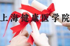 上海健康医学院近三年在河北录取分数线(含2022-2024最低分)