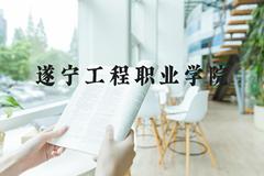 遂宁工程职业学院近三年在河北录取分数线(含2022-2024最低分)