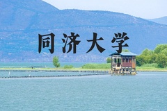 同济大学近三年在河北录取分数线(含2022-2024最低分)