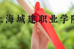 上海城建职业学院近三年在河北录取分数线(含2022-2024最低分)