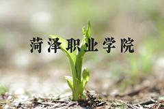 菏泽职业学院近三年在河北录取分数线(含2022-2024最低分)