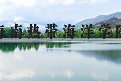 海南热带海洋学院近三年在河北录取分数线(含2022-2024最低分)