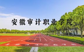 安徽审计职业学院近三年在河北录取分数线(含2022-2024最低分)