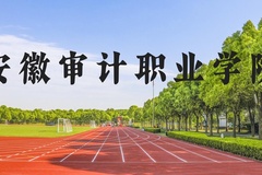 安徽审计职业学院近三年在河北录取分数线(含2022-2024最低分)