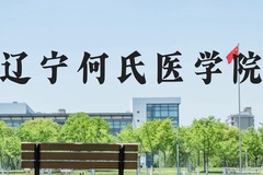 辽宁何氏医学院近三年在河北录取分数线(含2022-2024最低分)