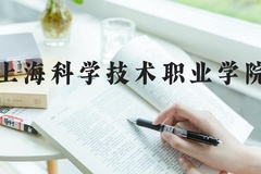 上海科学技术职业学院近三年在河北录取分数线(含2022-2024最低分)