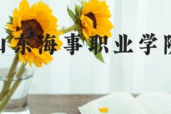 山东海事职业学院近三年在河北录取分数线(含2022-2024最低分)