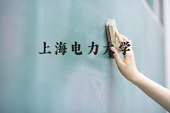 上海电力大学近三年在河北录取分数线(含2022-2024最低分)