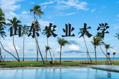 山东农业大学近三年在河北录取分数线(含2022-2024最低分)