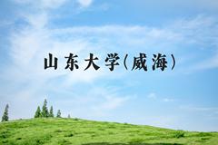 山东大学(威海)近三年在河北录取分数线(含2022-2024最低分)