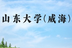 山东大学(威海)近三年在河北录取分数线(含2022-2024最低分)