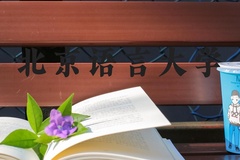 北京语言大学近三年在河北录取分数线(含2022-2024最低分)