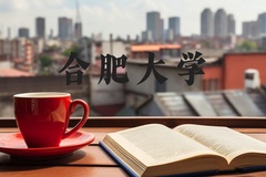 合肥大学近三年在河北录取分数线(含2022-2024最低分)