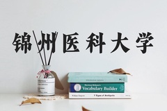 锦州医科大学近三年在河北录取分数线(含2022-2024最低分)