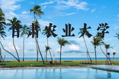 甘肃农业大学近三年在河北录取分数线(含2022-2024最低分)