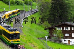 长春医学高等专科学校近三年在河北录取分数线(含2022-2024最低分)