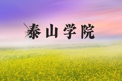 泰山学院近三年在河北录取分数线(含2022-2024最低分)