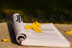 运城职业技术大学近三年在河北录取分数线(含2022-2024最低分)
