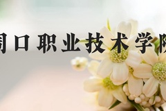 周口职业技术学院近三年在河北录取分数线(含2022-2024最低分)