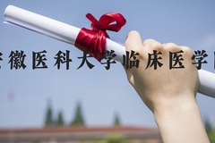安徽医科大学临床医学院近三年在河北录取分数线(含2022-2024最低分)
