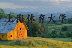 上海体育大学近三年在河北录取分数线(含2022-2024最低分)
